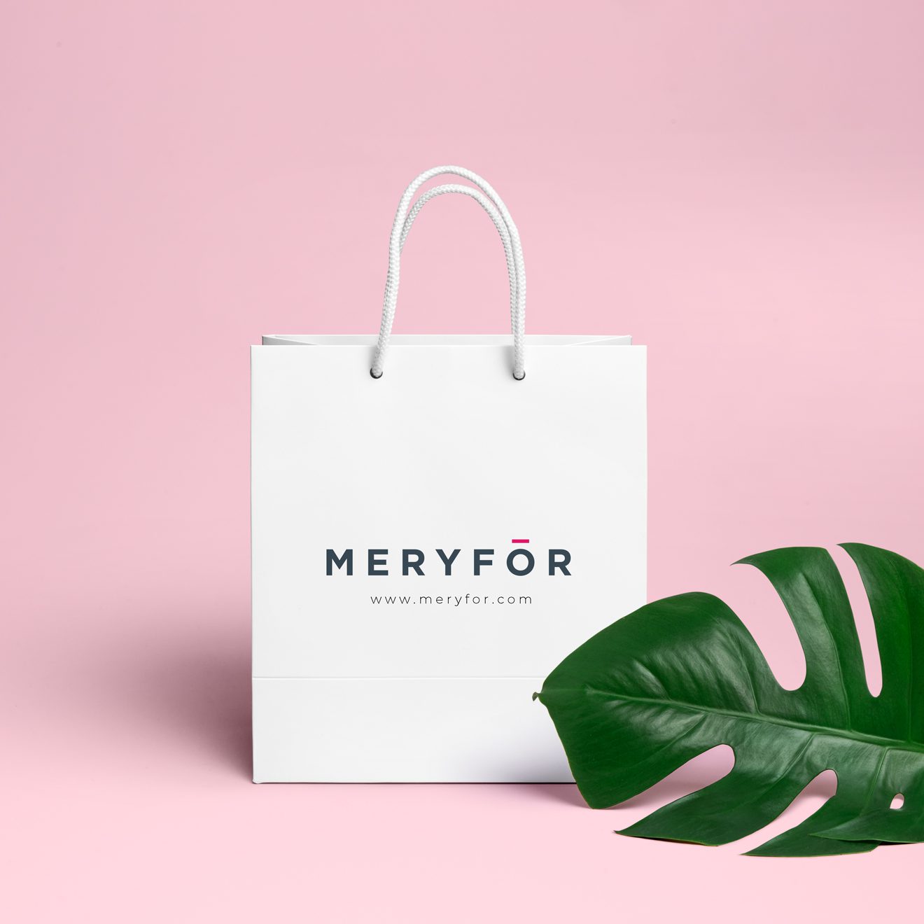 Campaña Marketing On Line para Meryfor - Parnaso
