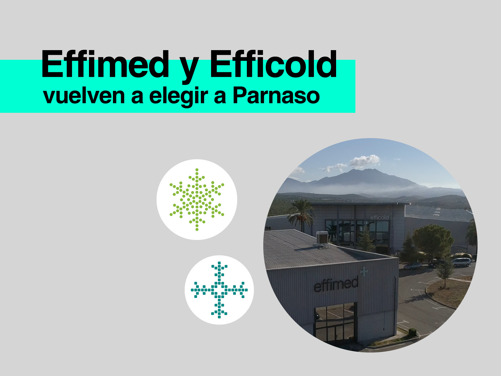 Effimed y Efficold vuelven a elegir a Parnaso para gestionar sus cuentas anuales - Parnaso